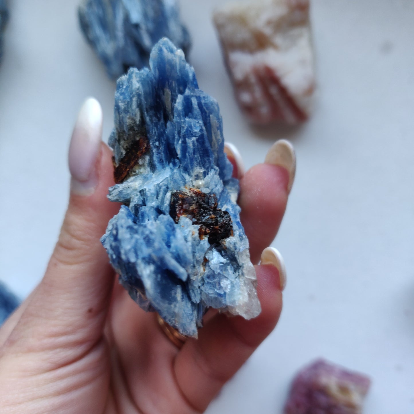 Blue Kyanite Specimen with Garnet Inclusions (#7)