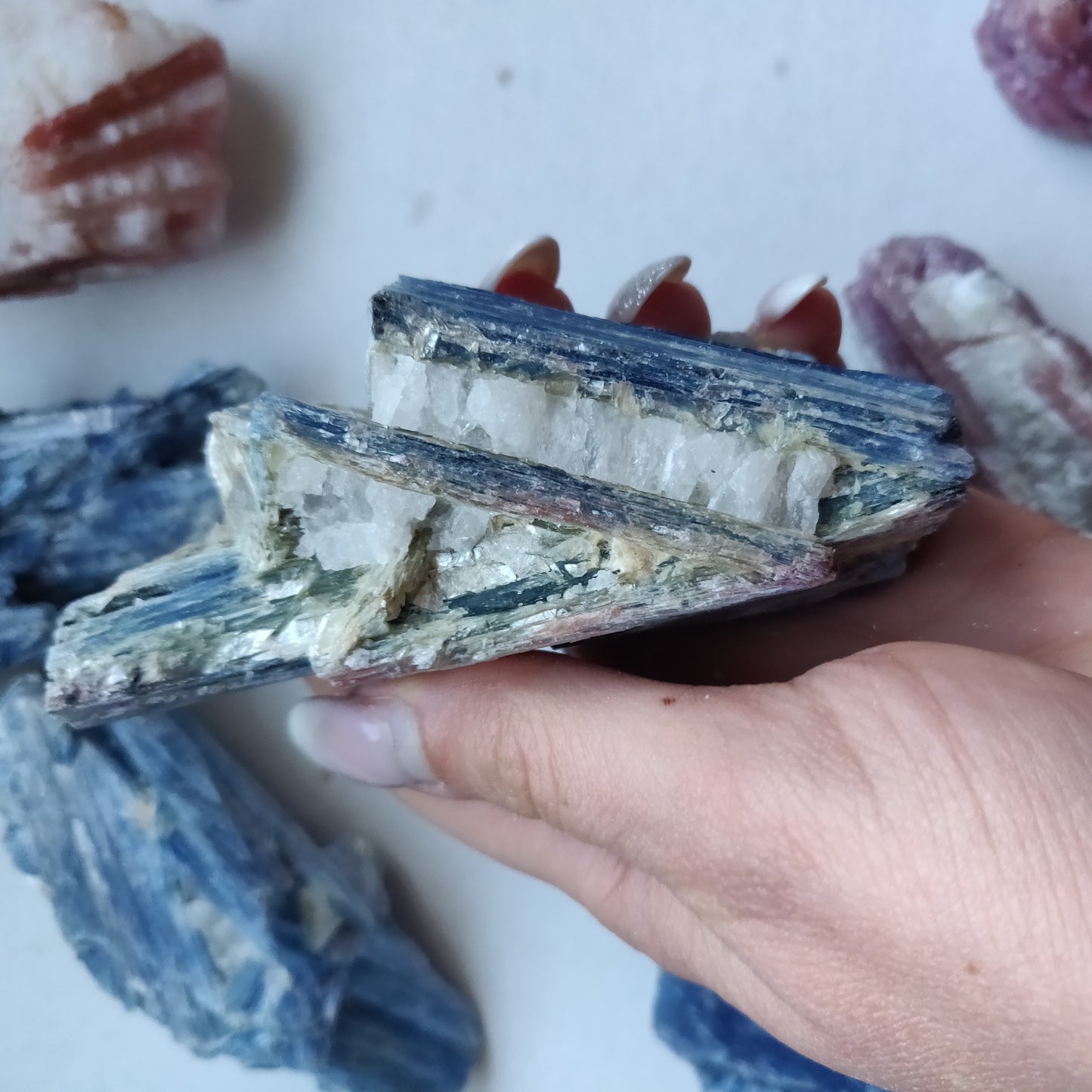 Blue Kyanite Specimen (#8)