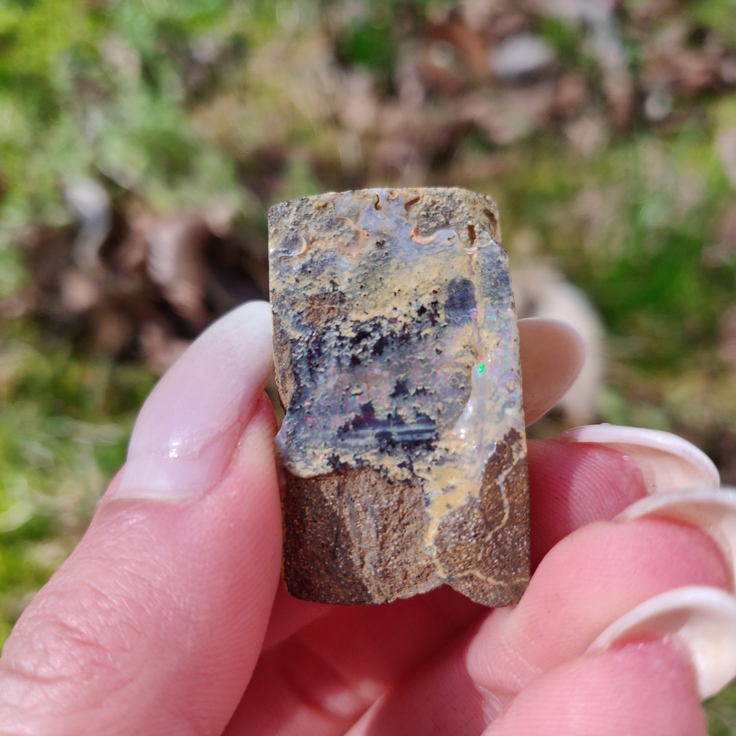 Australian Boulder Opal Rough Specimen (#5) - Simply Affinity
