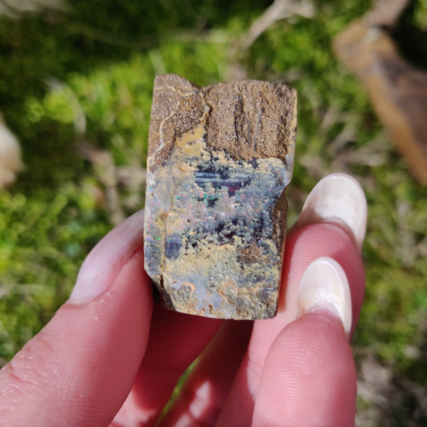 Australian Boulder Opal Rough Specimen (#5) - Simply Affinity