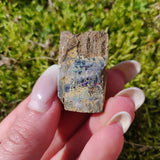 Australian Boulder Opal Rough Specimen (#5) - Simply Affinity