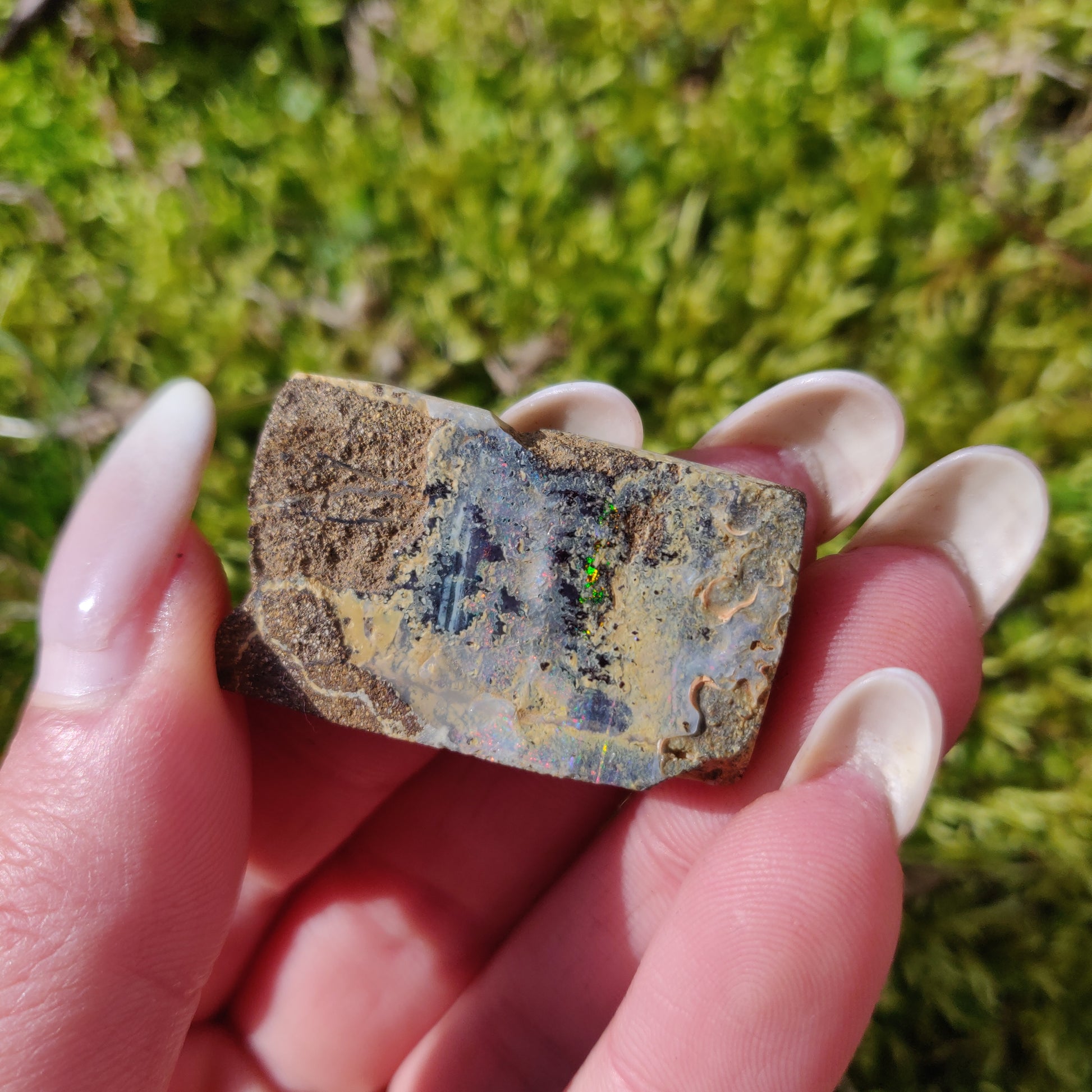 Australian Boulder Opal Rough Specimen (#5) - Simply Affinity