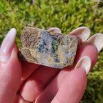 Australian Boulder Opal Rough Specimen (#5) - Simply Affinity