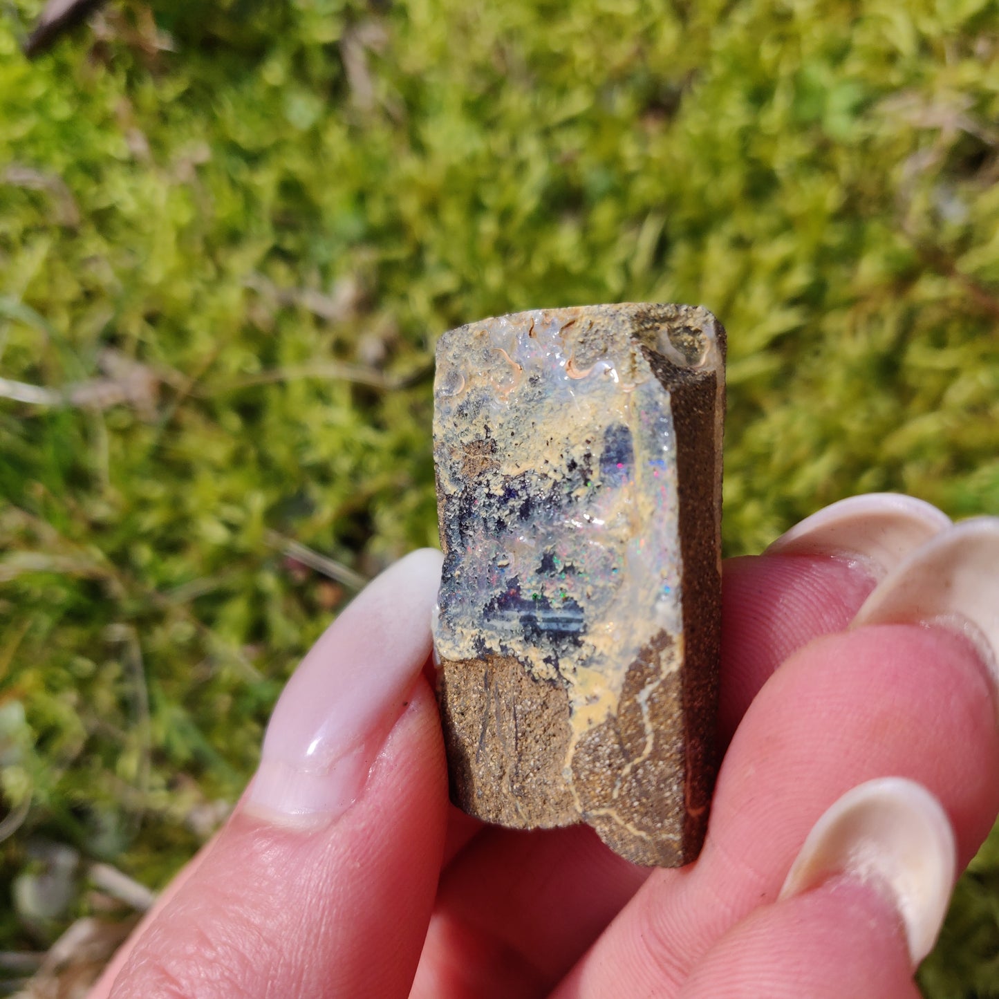 Australian Boulder Opal Rough Specimen (#5) - Simply Affinity