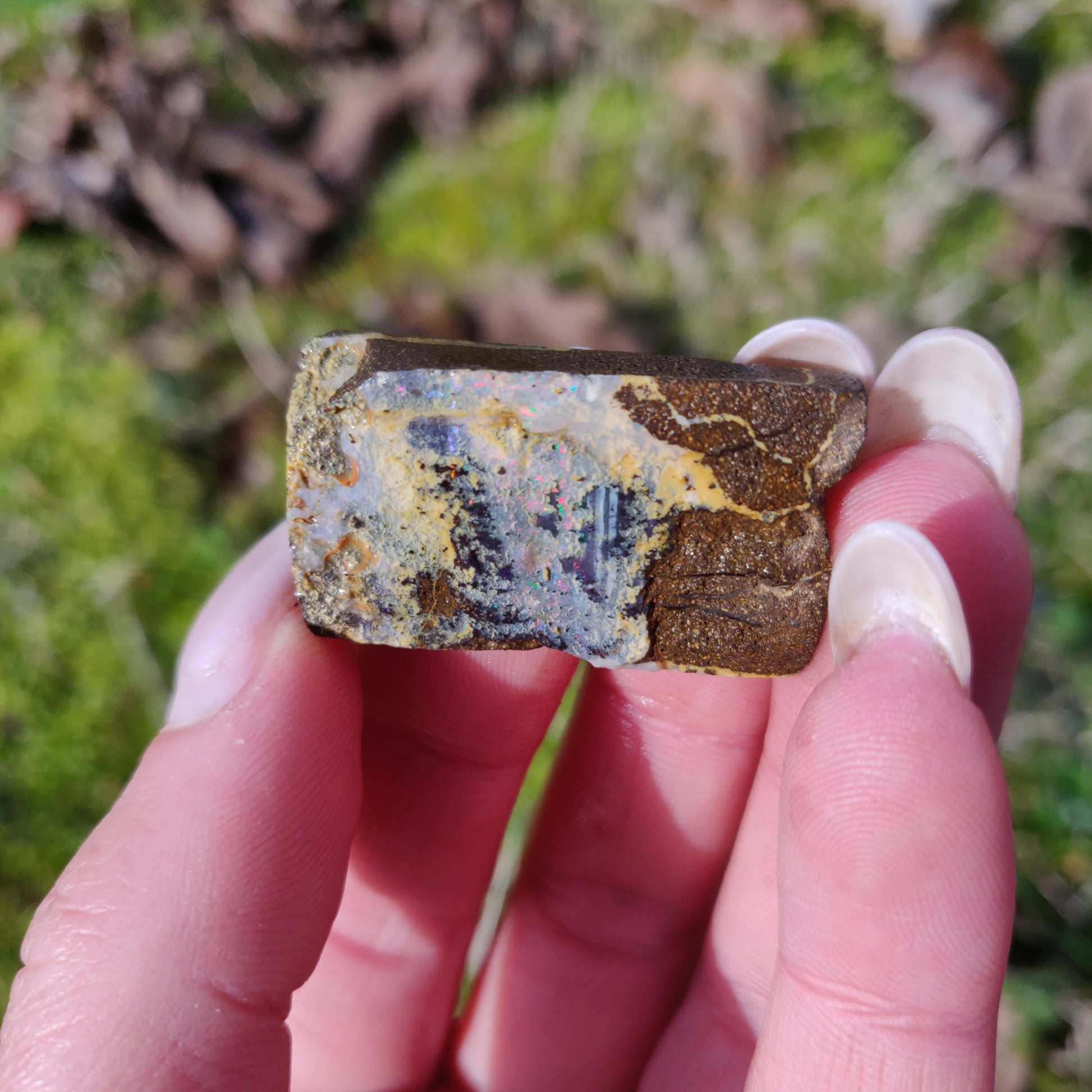 Australian Boulder Opal Rough Specimen (#5) - Simply Affinity