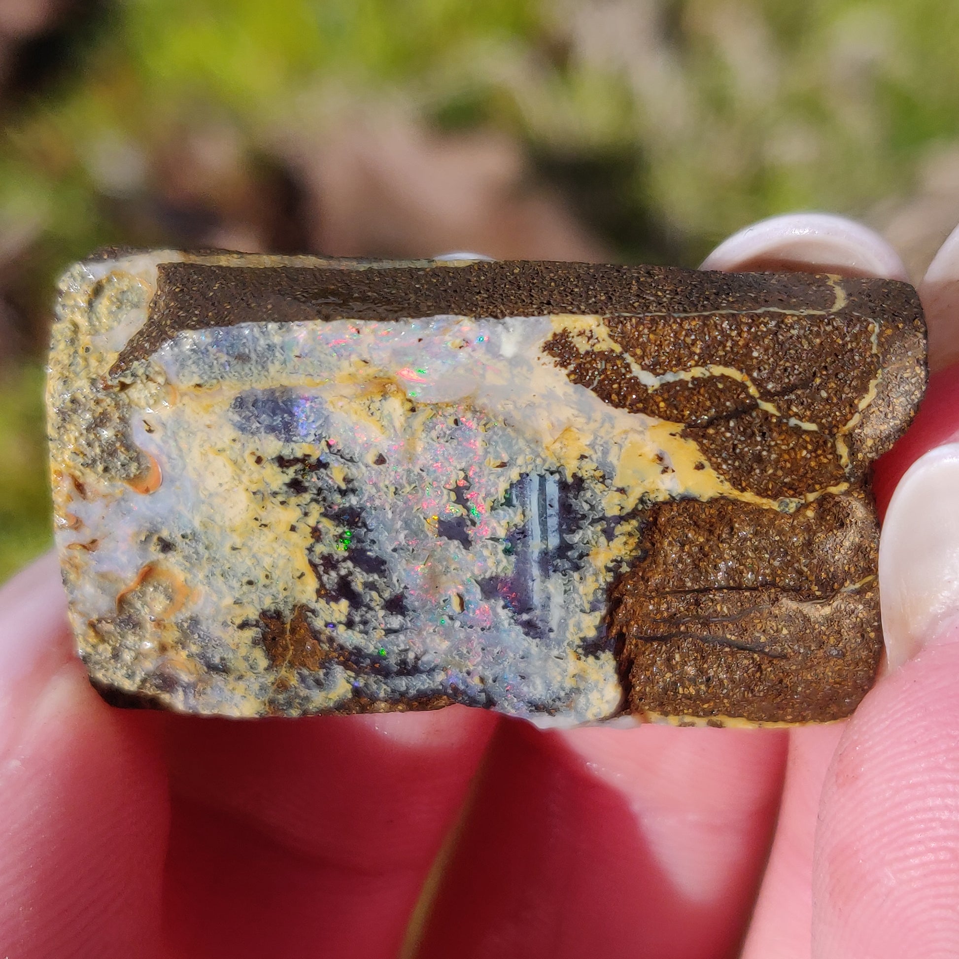 Australian Boulder Opal Rough Specimen (#5) - Simply Affinity