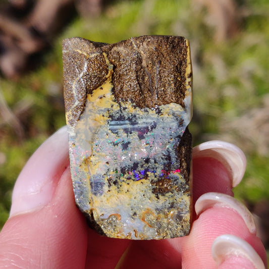 Australian Boulder Opal Rough Specimen (#5) - Simply Affinity