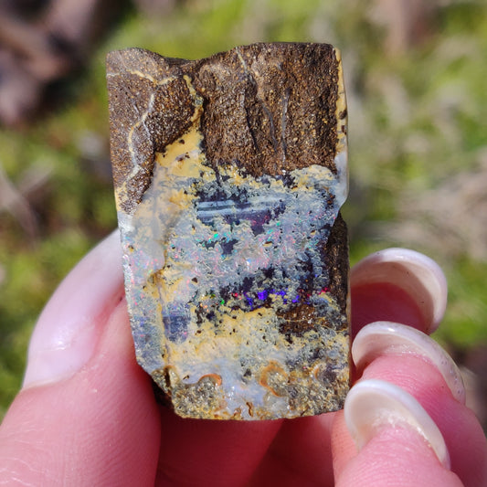 Australian Boulder Opal Rough Specimen (#5) - Simply Affinity