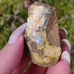 Australian Boulder Opal Rough Specimen (#7) - Simply Affinity