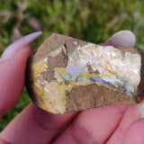 Australian Boulder Opal Rough Specimen (#7) - Simply Affinity