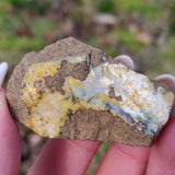 Australian Boulder Opal Rough Specimen (#7) - Simply Affinity