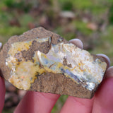 Australian Boulder Opal Rough Specimen (#7) - Simply Affinity