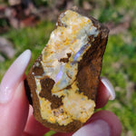 Australian Boulder Opal Rough Specimen (#7) - Simply Affinity