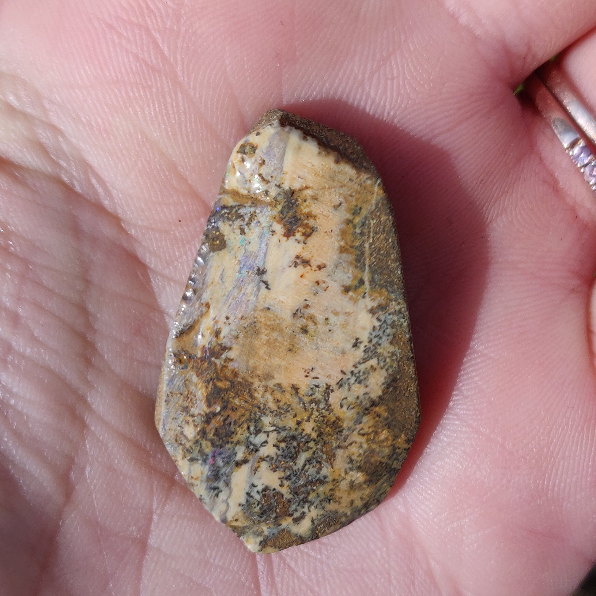 Australian Boulder Opal Rough Specimen with Dendritic Patterns (#1) - Simply Affinity