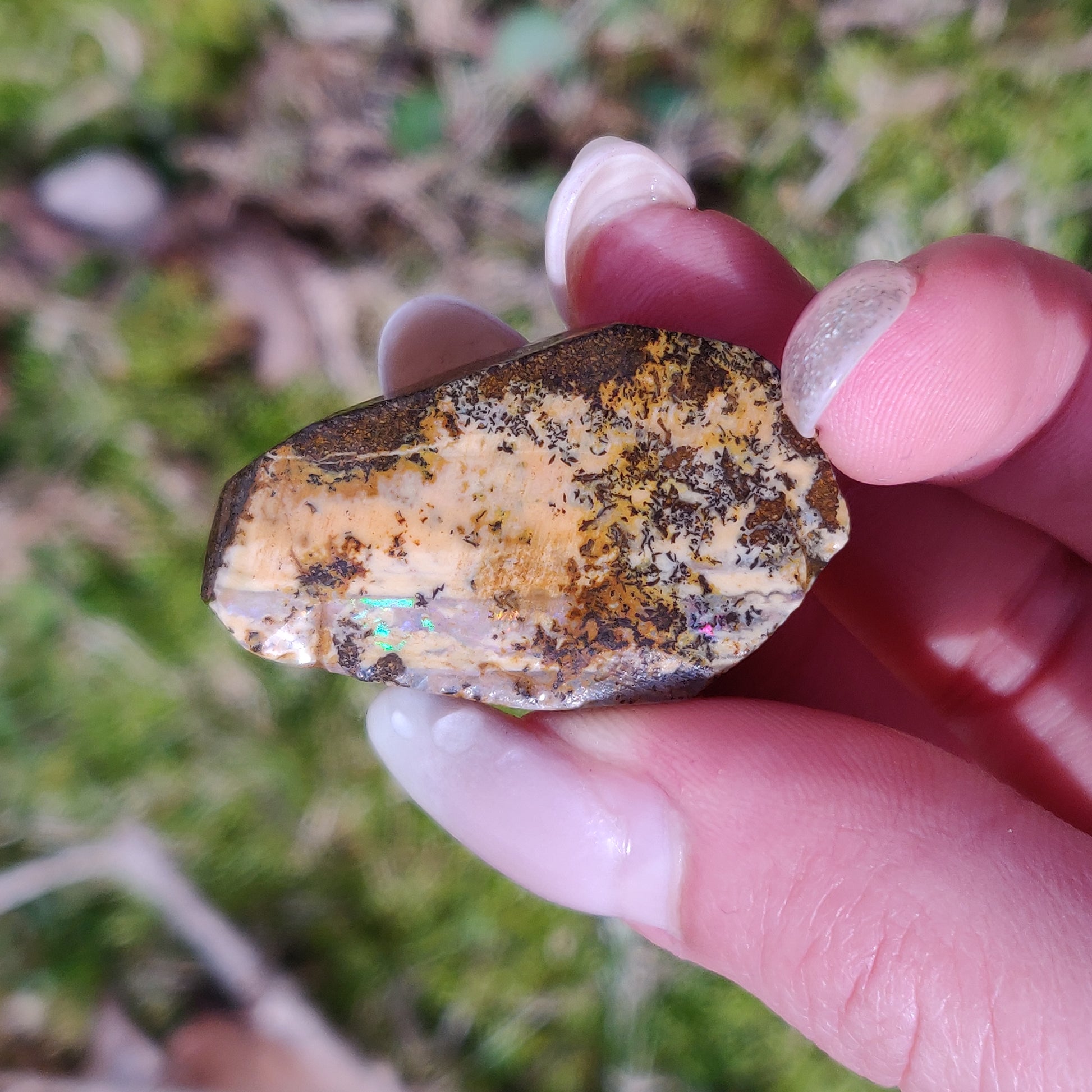 Australian Boulder Opal Rough Specimen with Dendritic Patterns (#1) - Simply Affinity