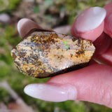 Australian Boulder Opal Rough Specimen with Dendritic Patterns (#1) - Simply Affinity