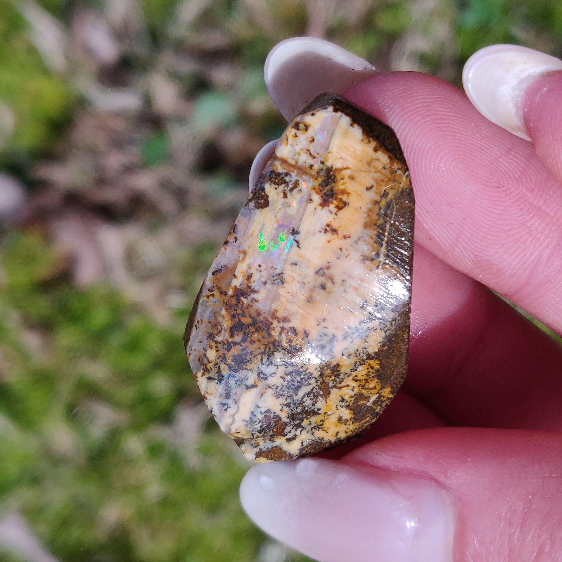 Australian Boulder Opal Rough Specimen with Dendritic Patterns (#1) - Simply Affinity