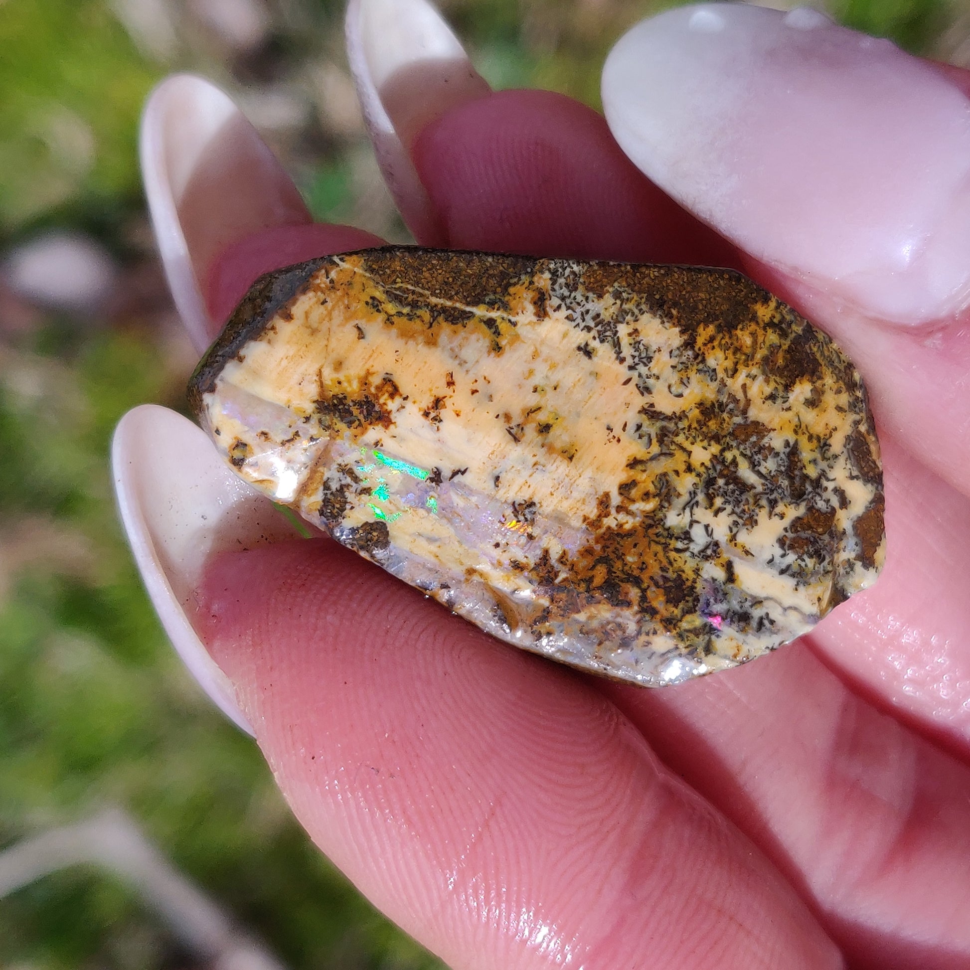 Australian Boulder Opal Rough Specimen with Dendritic Patterns (#1) - Simply Affinity