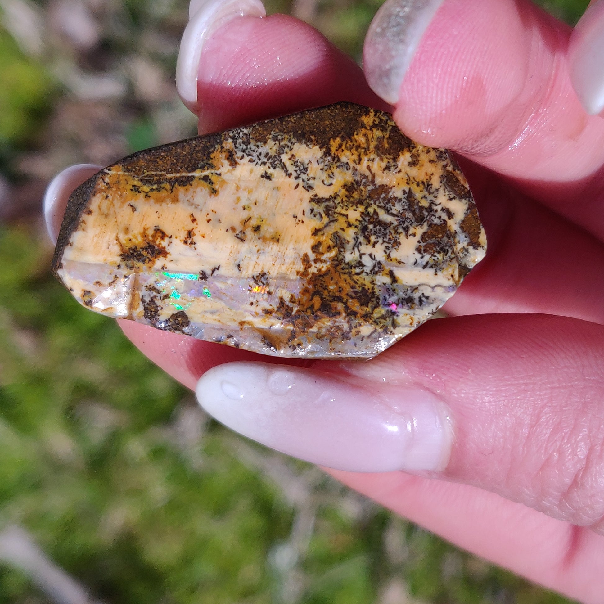 Australian Boulder Opal Rough Specimen with Dendritic Patterns (#1) - Simply Affinity