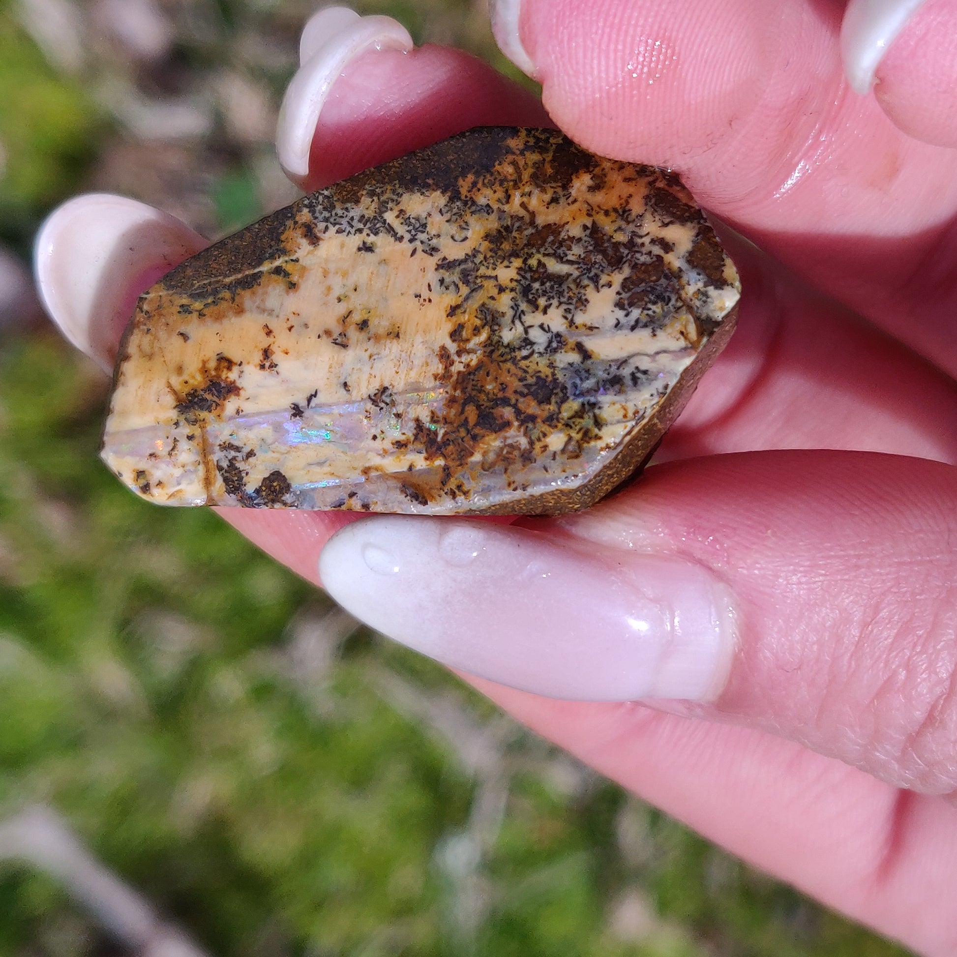 Australian Boulder Opal Rough Specimen with Dendritic Patterns (#1) - Simply Affinity