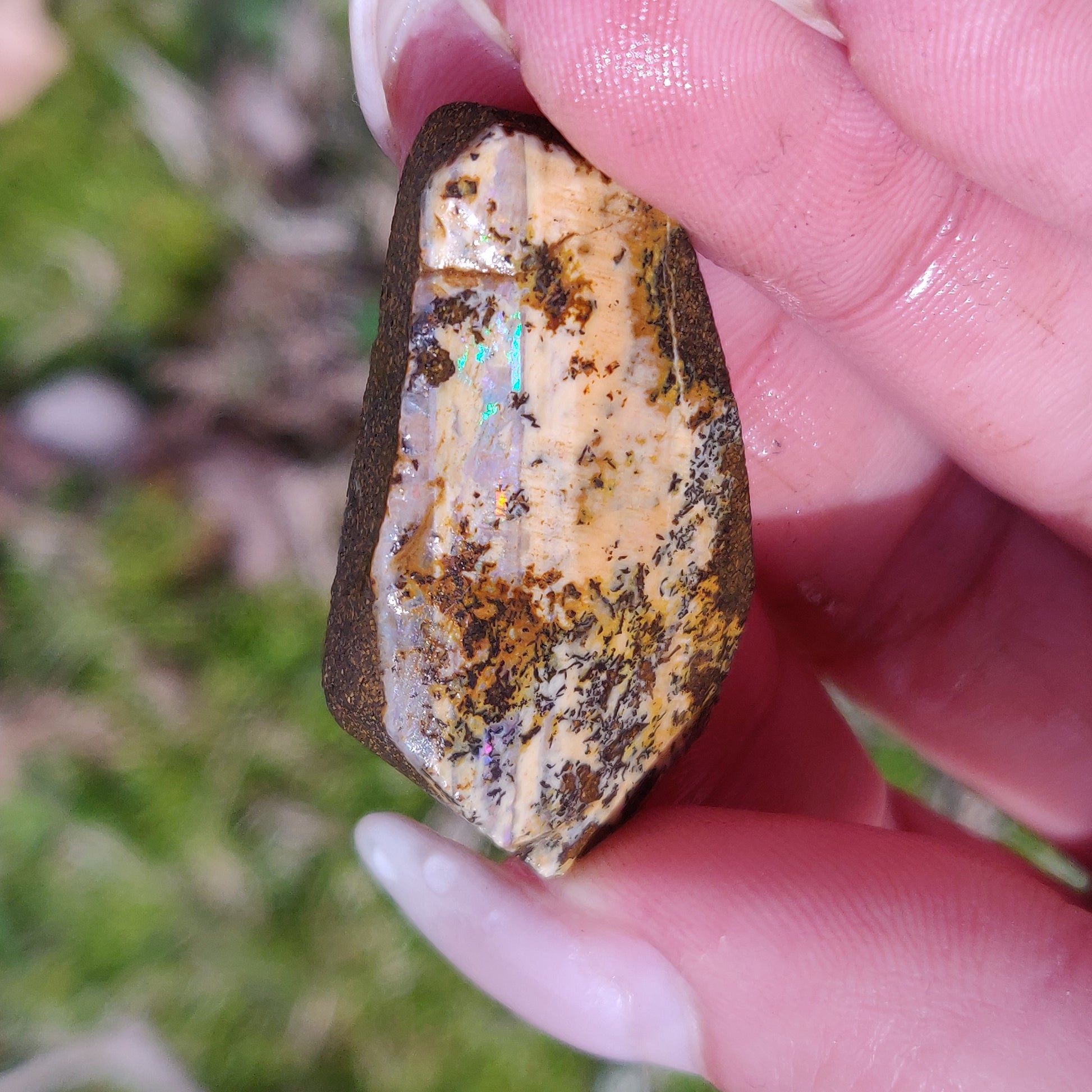 Australian Boulder Opal Rough Specimen with Dendritic Patterns (#1) - Simply Affinity