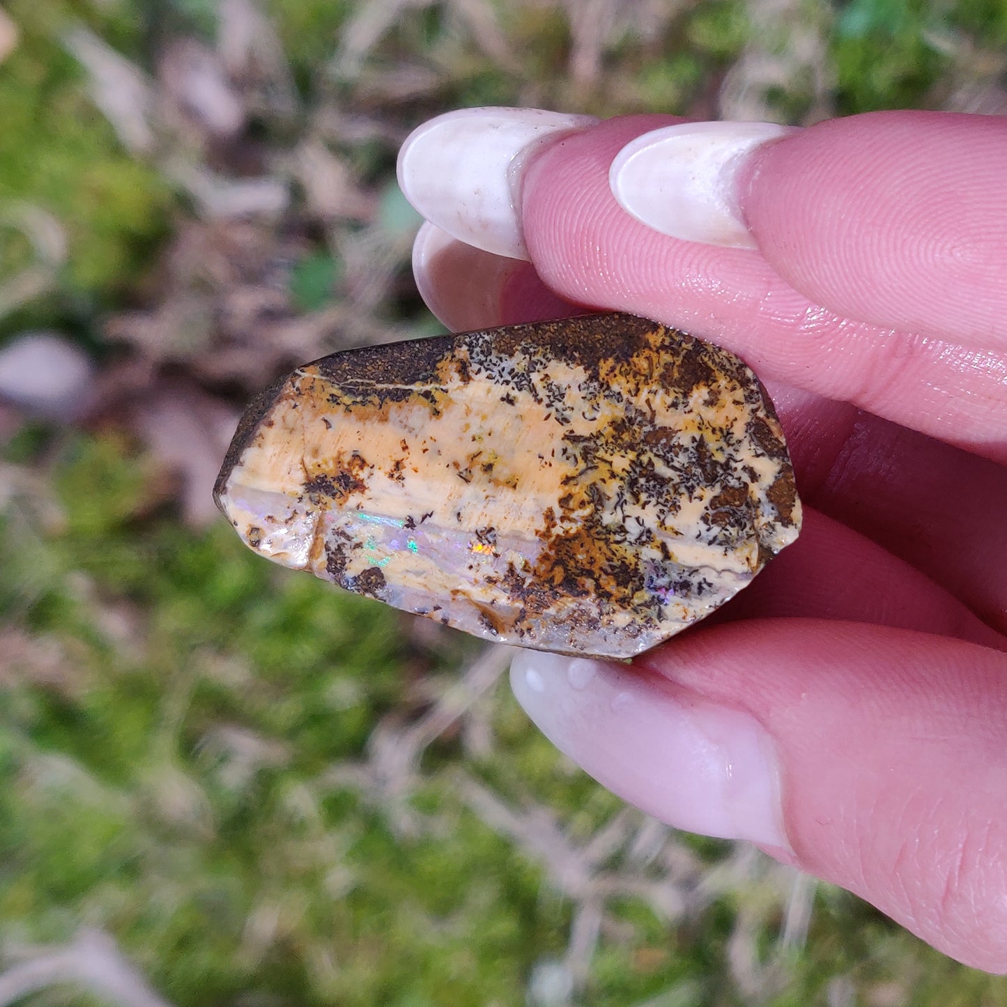 Australian Boulder Opal Rough Specimen with Dendritic Patterns (#1) - Simply Affinity