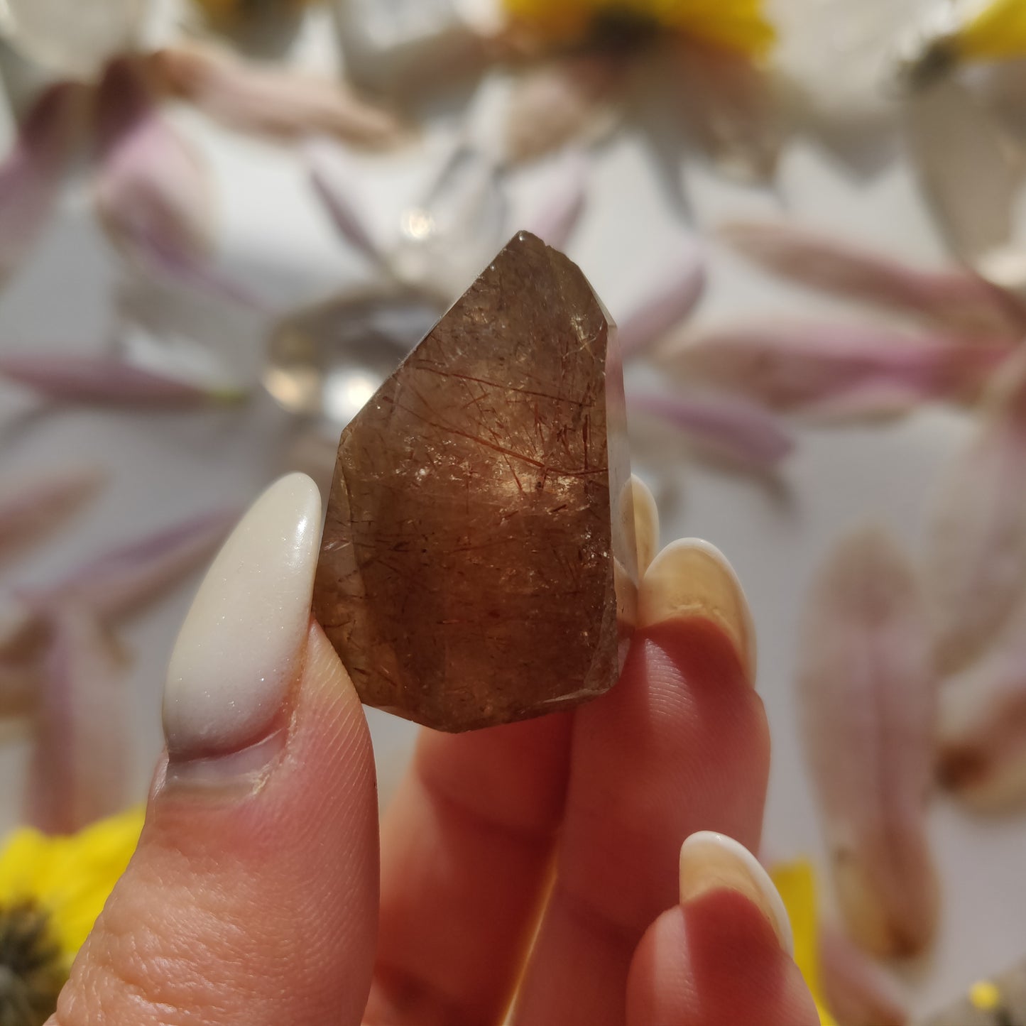 Rutilated Smoky Quartz Point (#6)