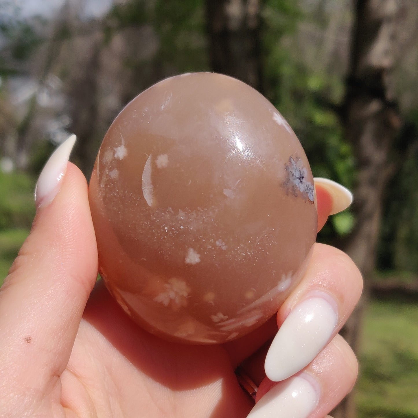Flower Agate Palm Stone (#3)