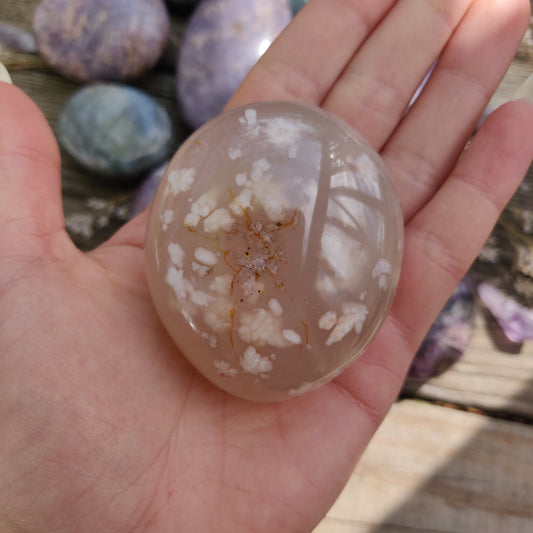 Flower Agate Palm Stone (#32)
