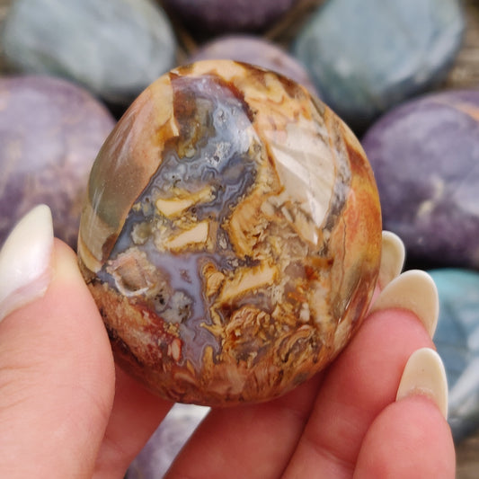 Ibis Jasper Palm Stone (#8)