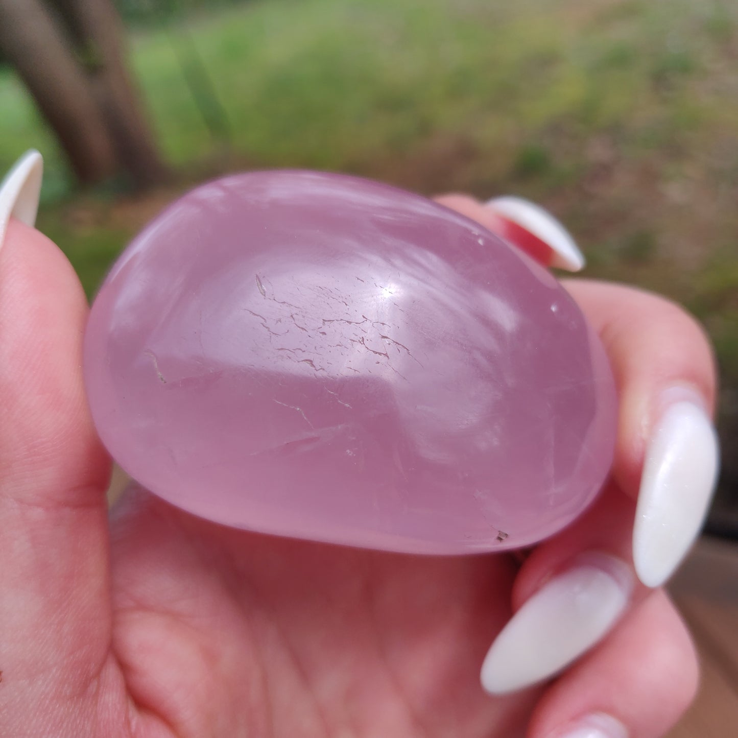 Rose Quartz Palm Stone, Star Rose Quartz (#2)