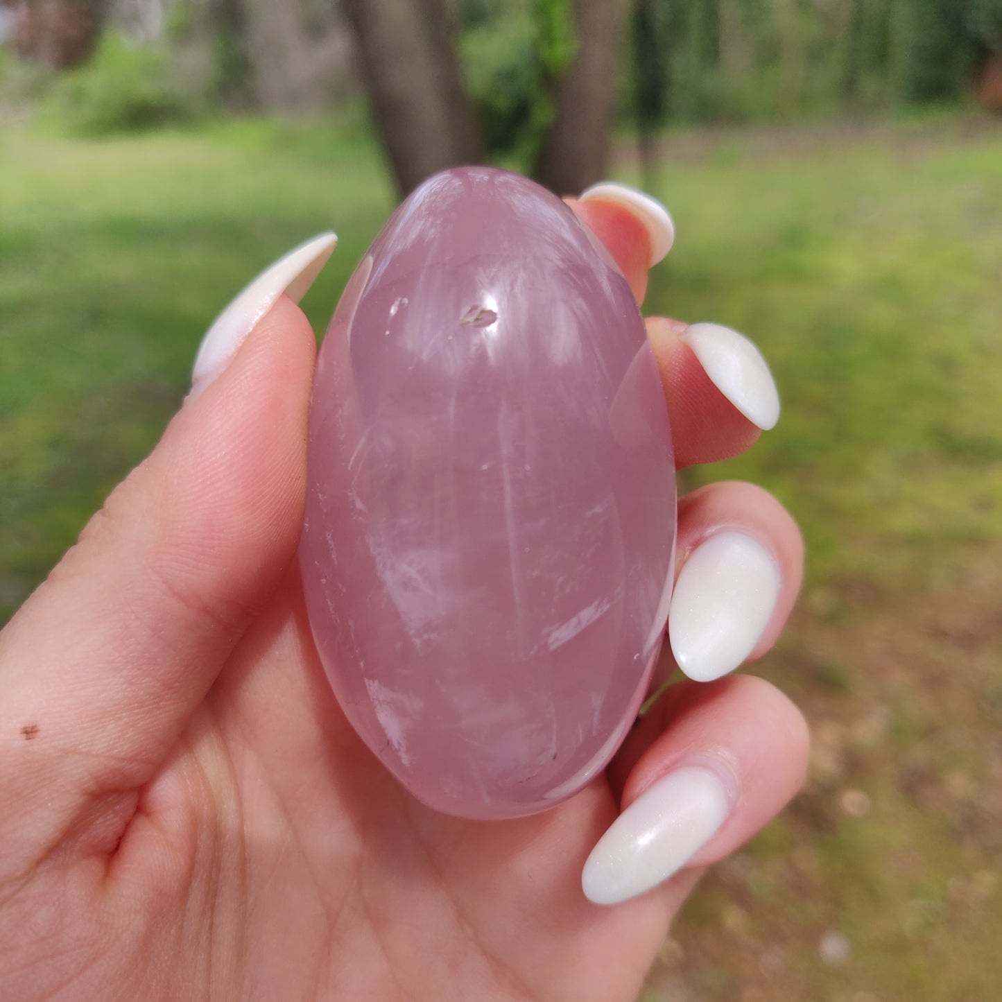 Rose Quartz Palm Stone, Star Rose Quartz (#2)