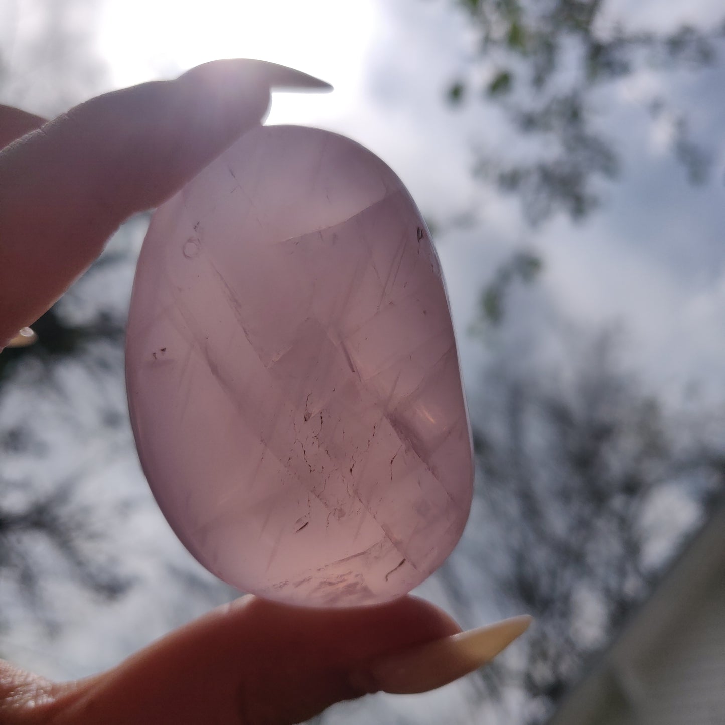 Rose Quartz Palm Stone, Star Rose Quartz (#2)