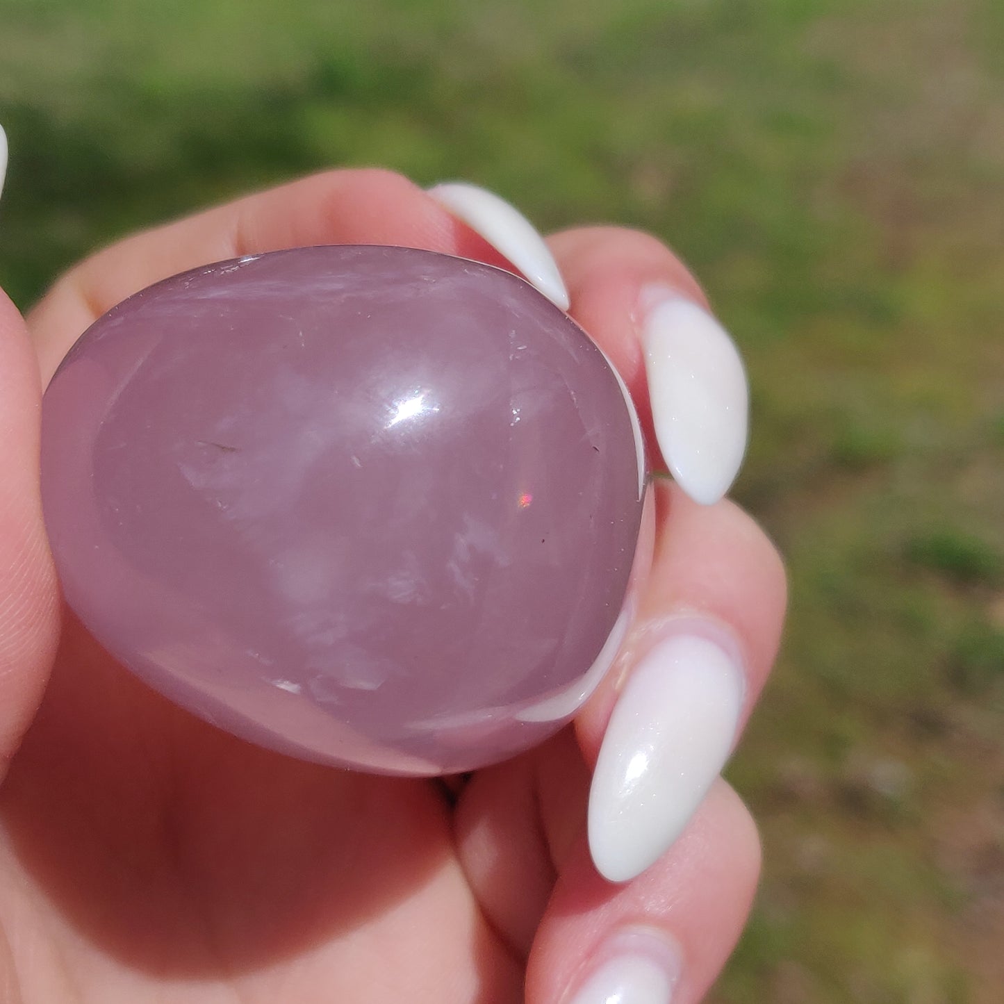 Rose Quartz Palm Stone, Star Rose Quartz (#2)
