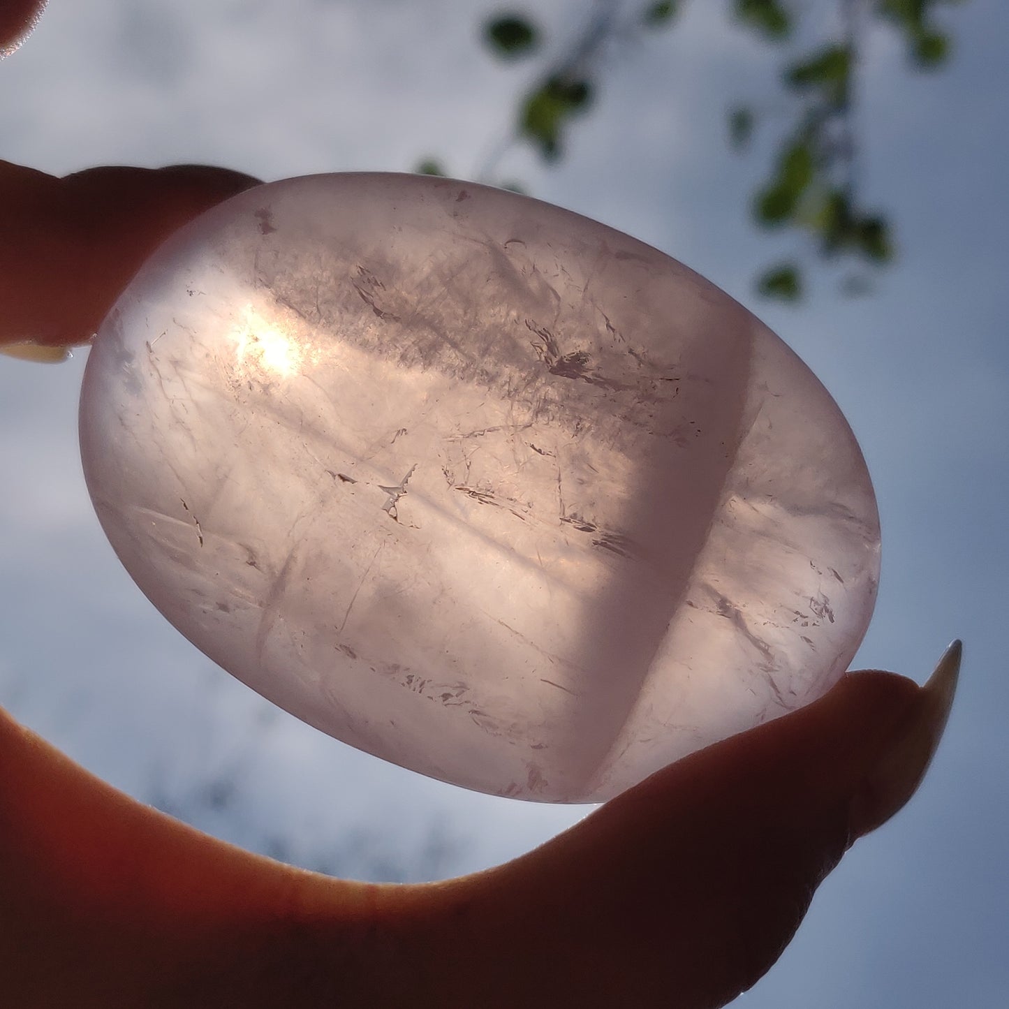 Rose Quartz Palm Stone, Star Rose Quartz (#5)