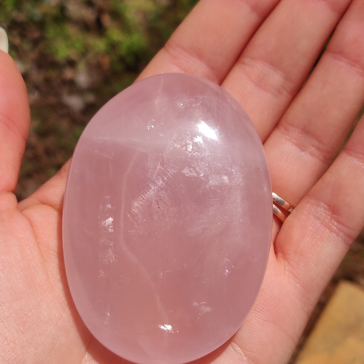 Rose Quartz Palm Stone, Star Rose Quartz (#5)