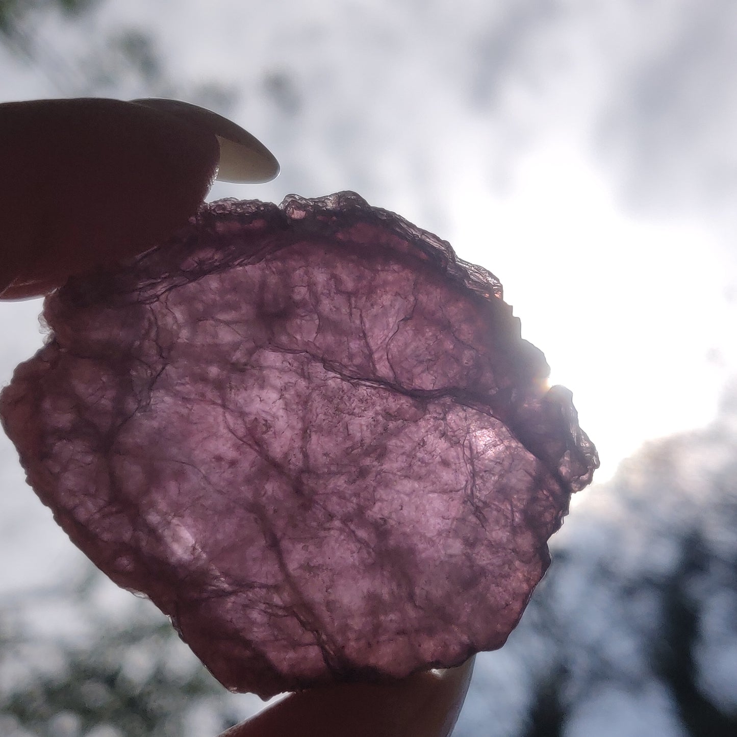 Lepidolite Slab (#4)