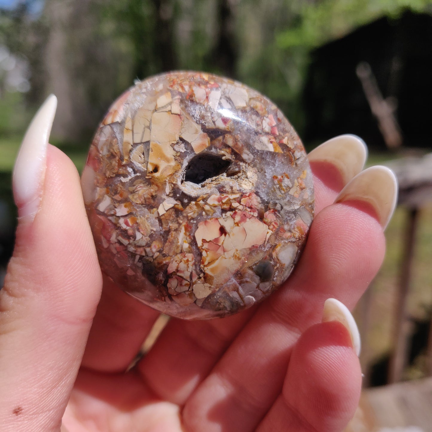 Ibis Jasper Palm Stone (#9)