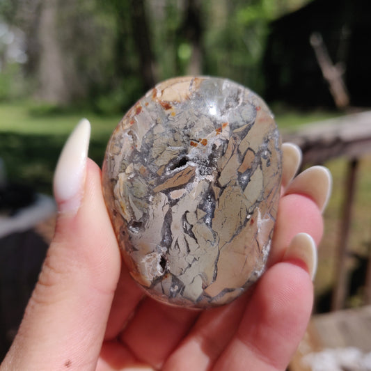 Ibis Jasper Palm Stone (#10)
