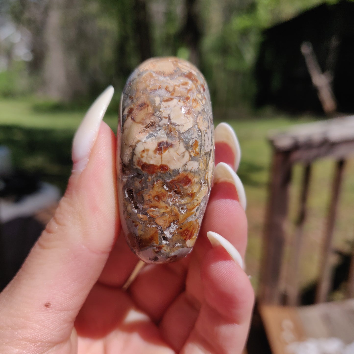 Ibis Jasper Palm Stone (#10)