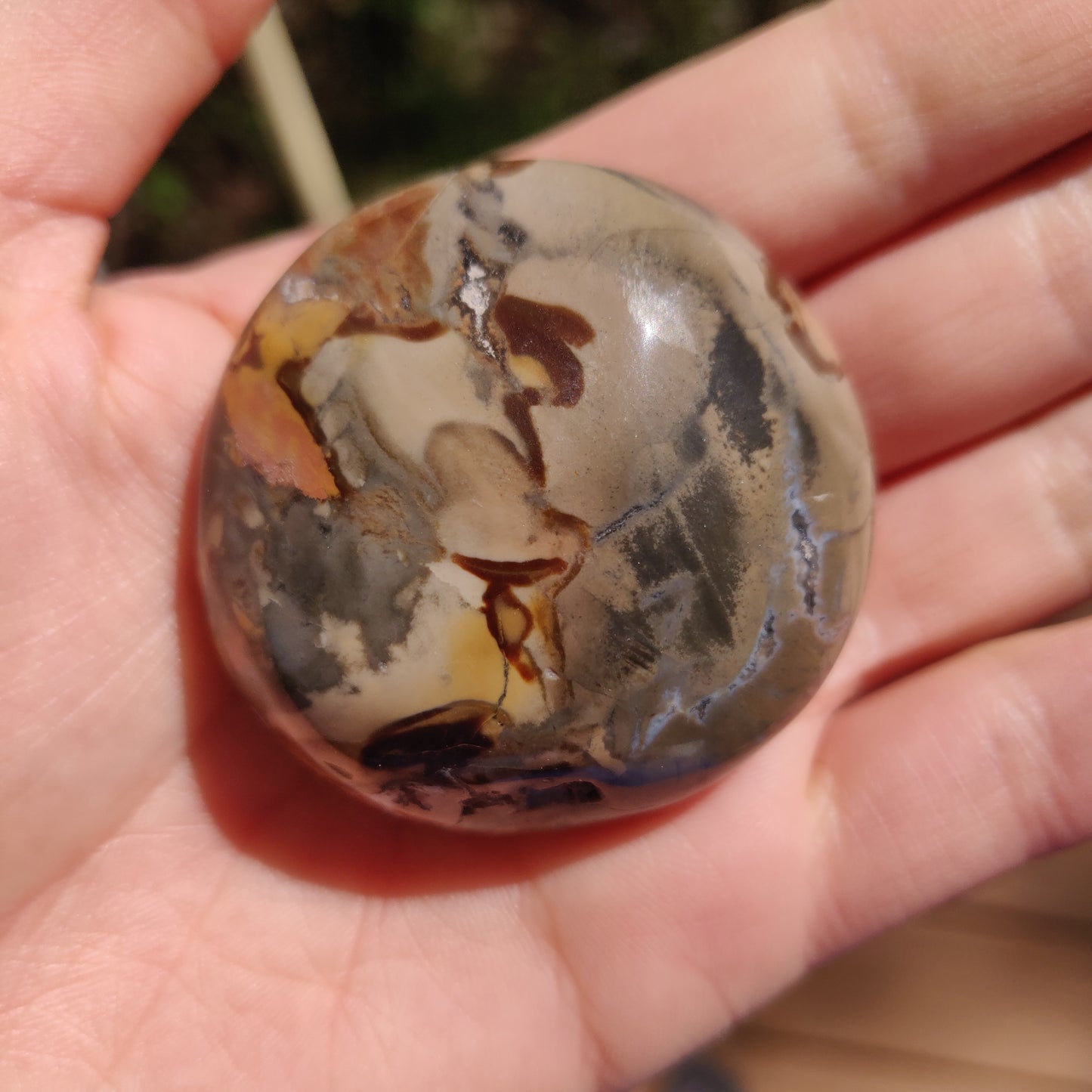 Ibis Jasper Palm Stone (#11)
