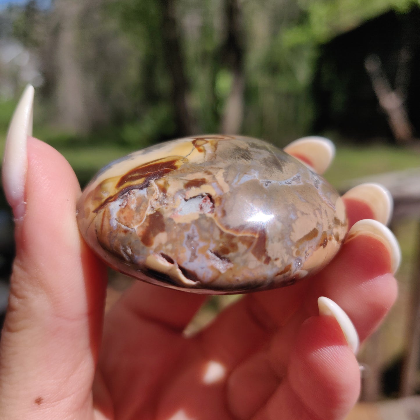 Ibis Jasper Palm Stone (#11)