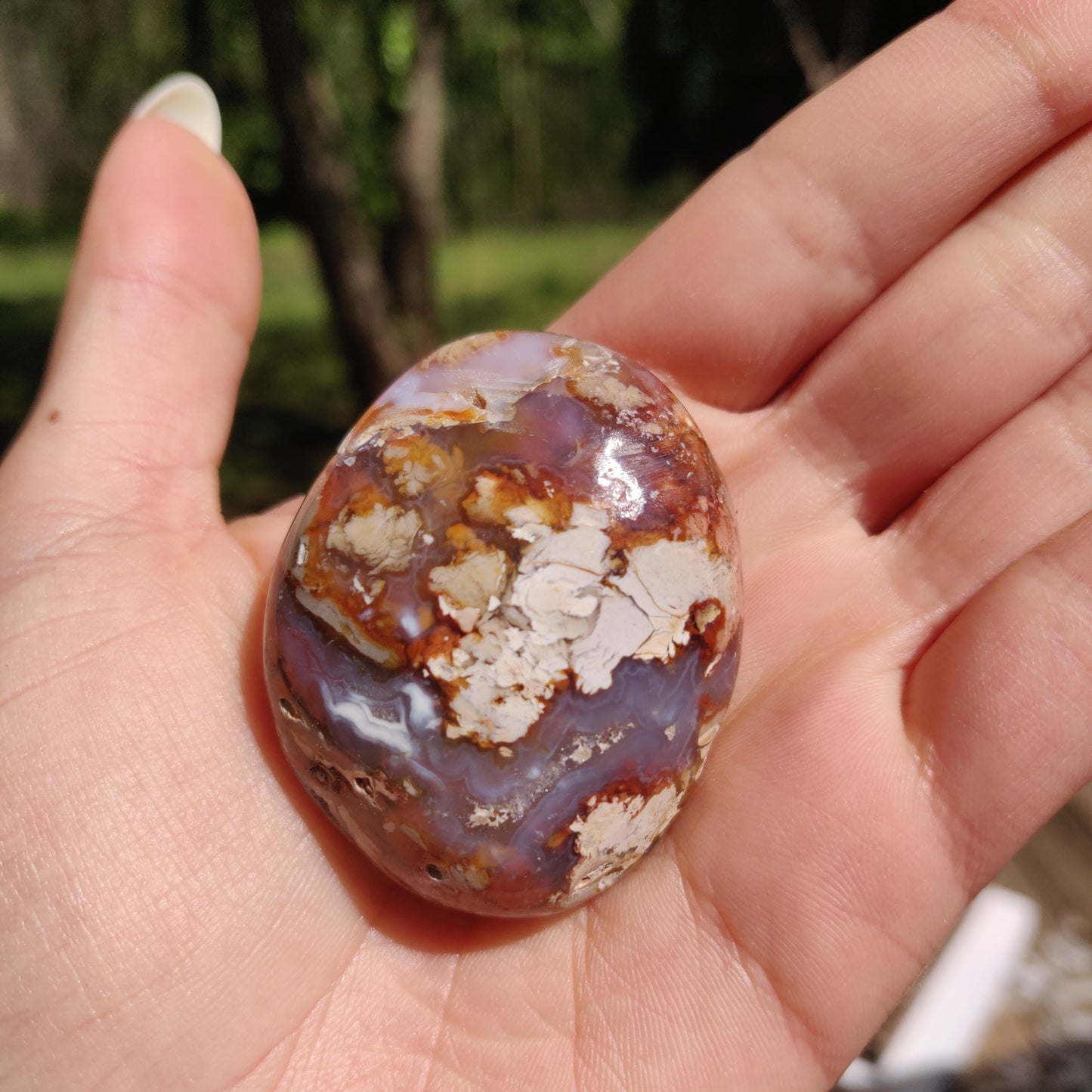 Ibis Jasper Palm Stone (#12)