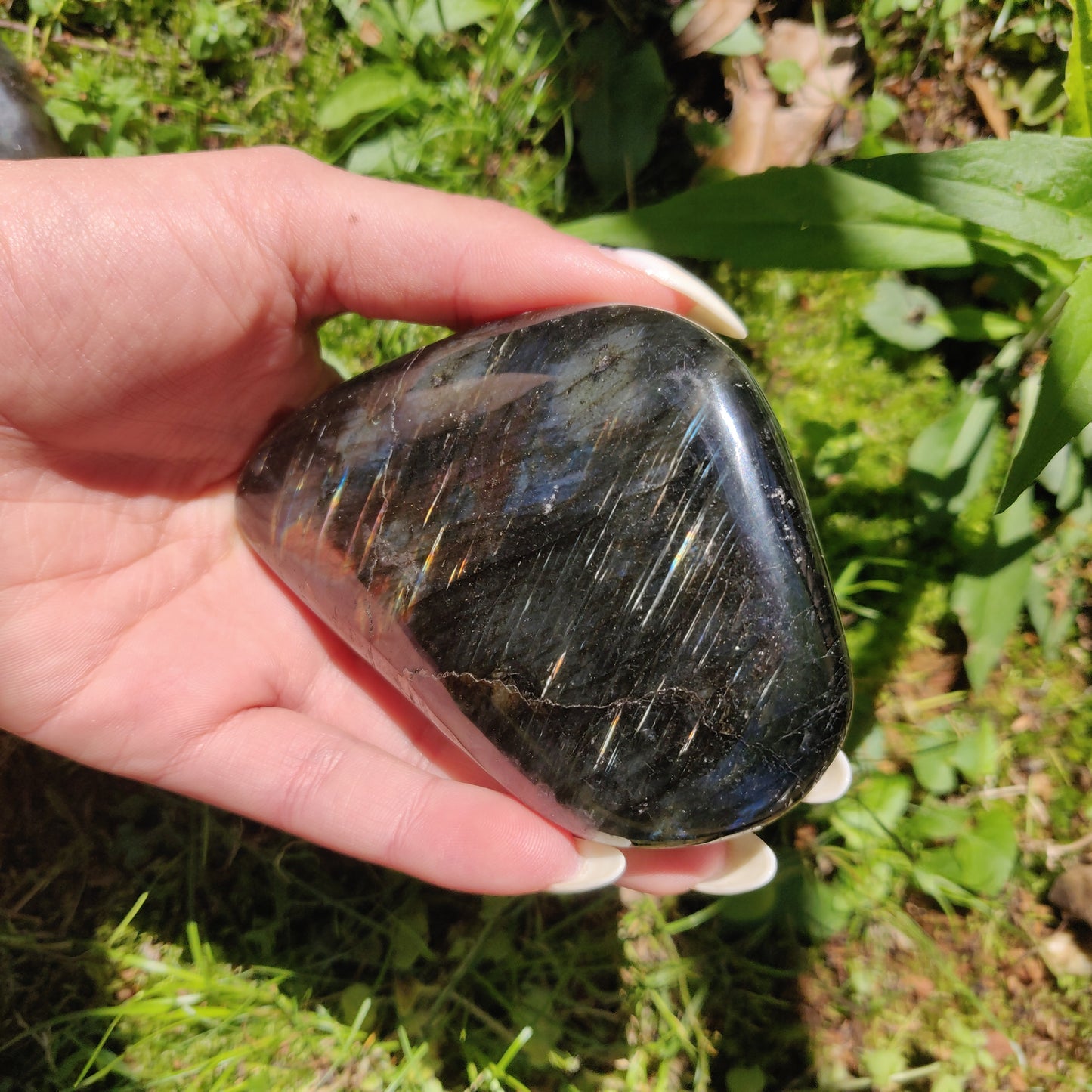 XL Labradorite Palm Stone (#201)
