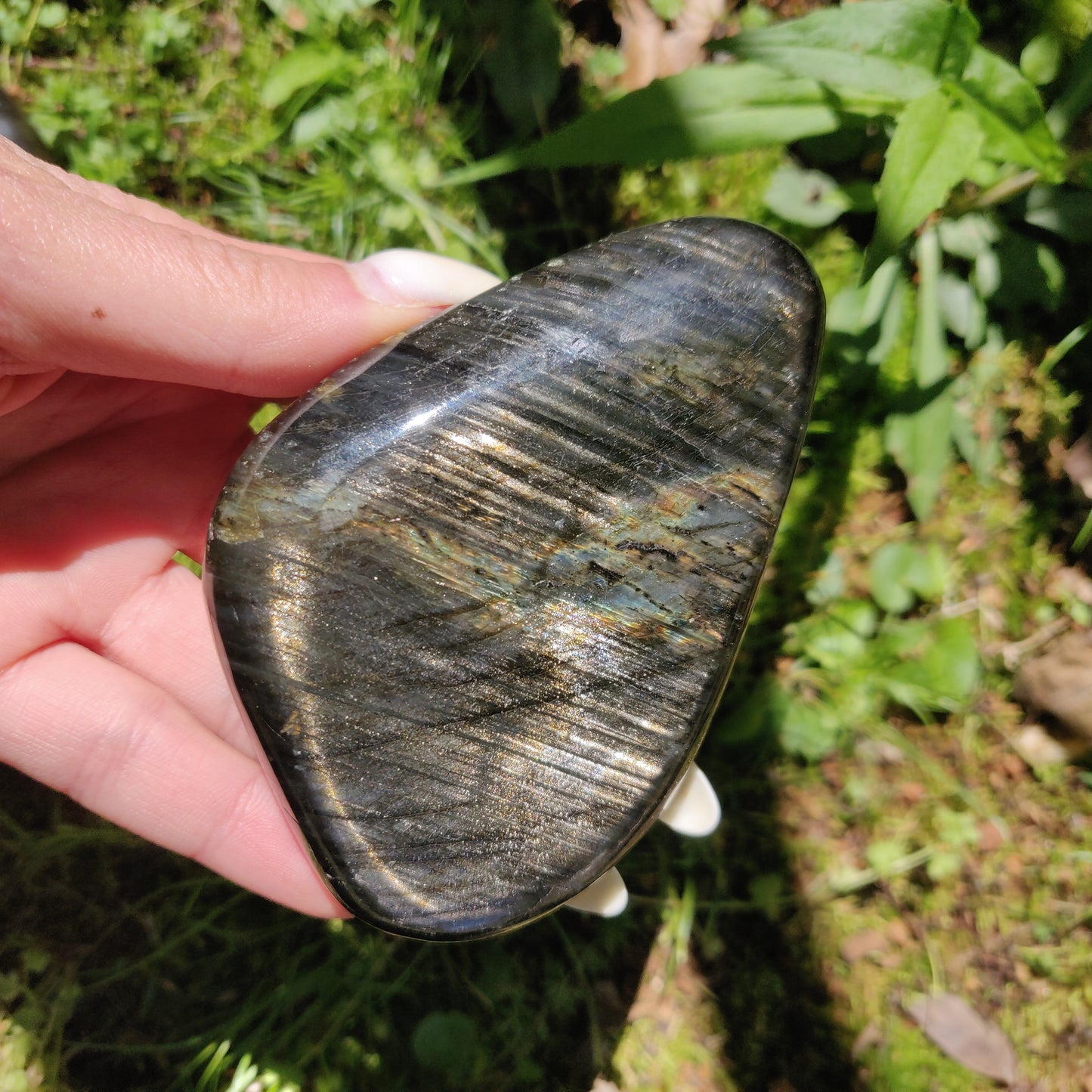 XL Labradorite Palm Stone (#201)