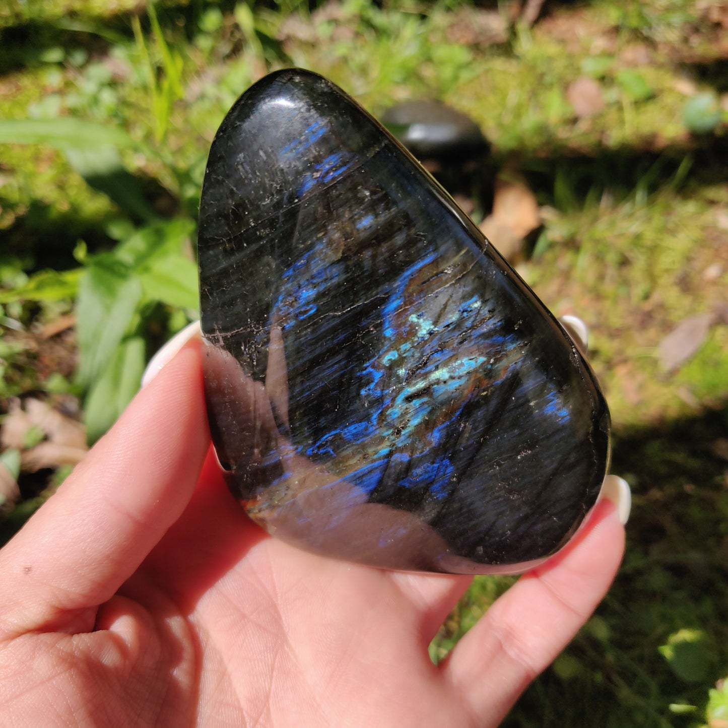 XL Labradorite Palm Stone (#201)