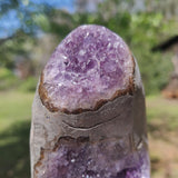 Amethyst Geode Free Form, Polished (#12) - Simply Affinity