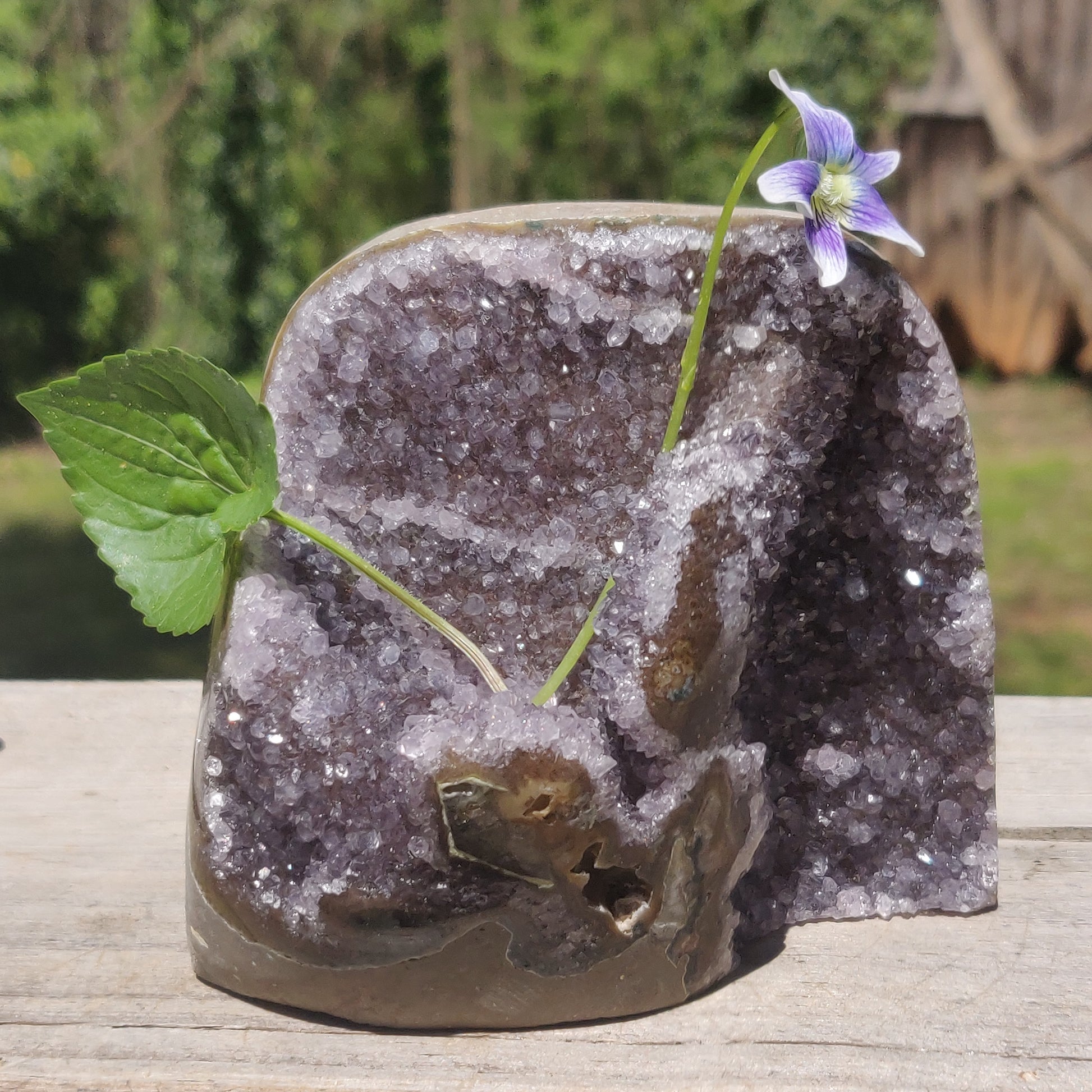 Amethyst Geode Free Form, Polished (#10) - Simply Affinity