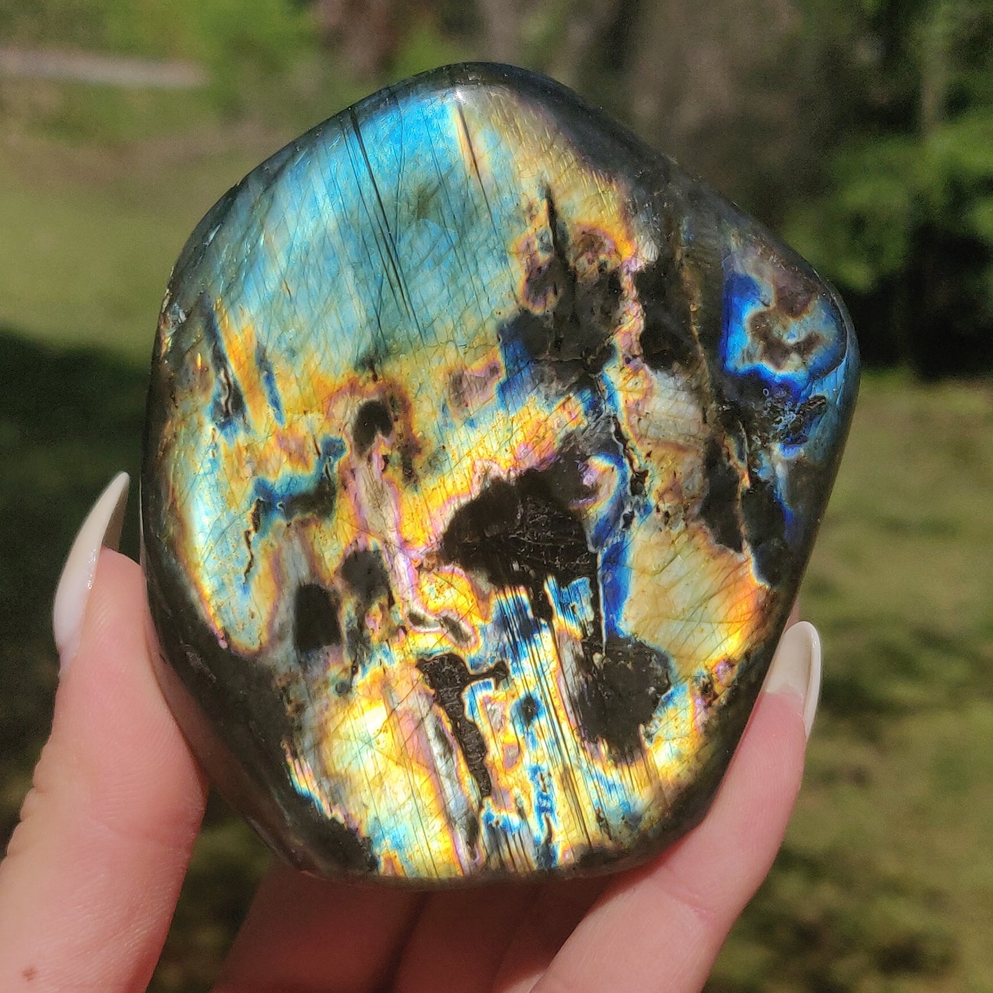 Labradorite Free Form (#4P)