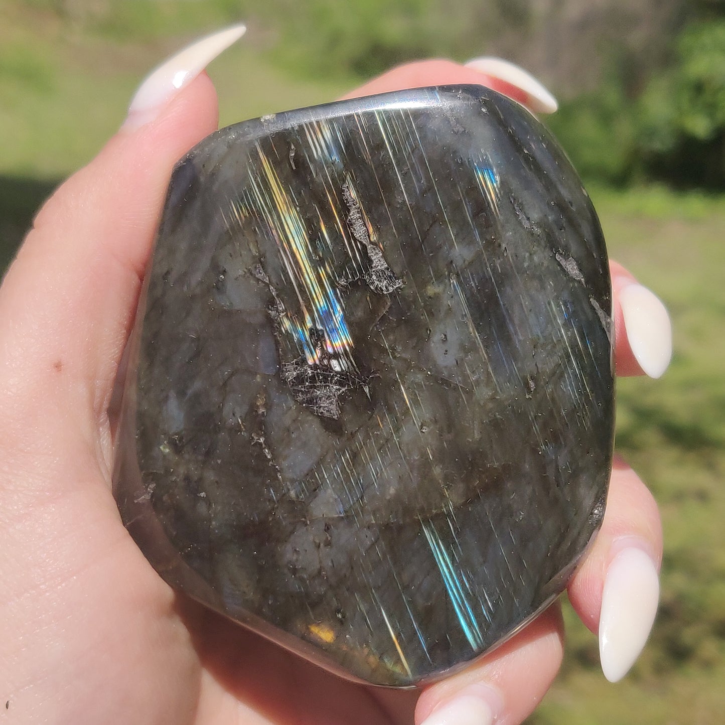 Labradorite Free Form (#4P)